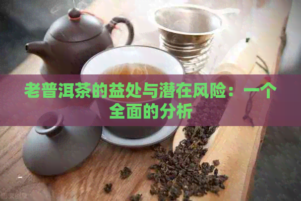 老普洱茶的益处与潜在风险：一个全面的分析