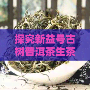 探究新益号古树普洱茶生茶的价格与品质：一场味觉宴的成本分析