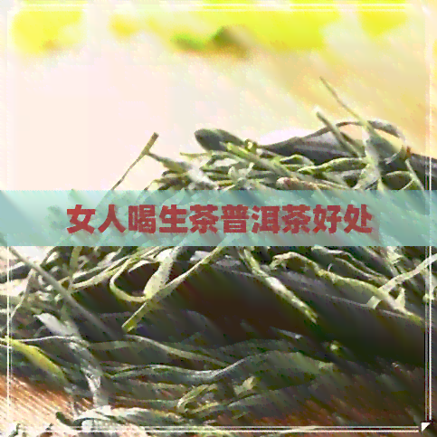 女人喝生茶普洱茶好处