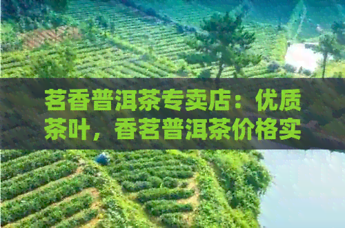 茗香普洱茶专卖店：优质茶叶，香茗普洱茶价格实，茗兴普洱茶，茗香茶业