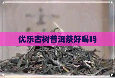 优乐古树普洱茶好喝吗