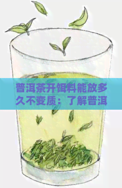 普洱茶开饵料能放多久不变质：了解普洱茶开饵料的保存时间，确保品质不变。