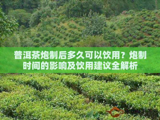 普洱茶炮制后多久可以饮用？炮制时间的影响及饮用建议全解析