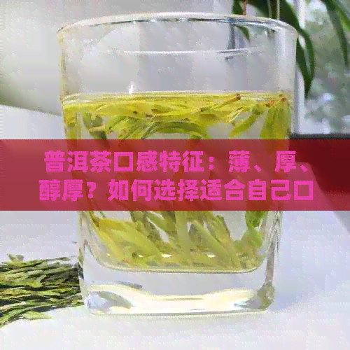 普洱茶口感特征：薄、厚、醇厚？如何选择适合自己口味的普洱茶？