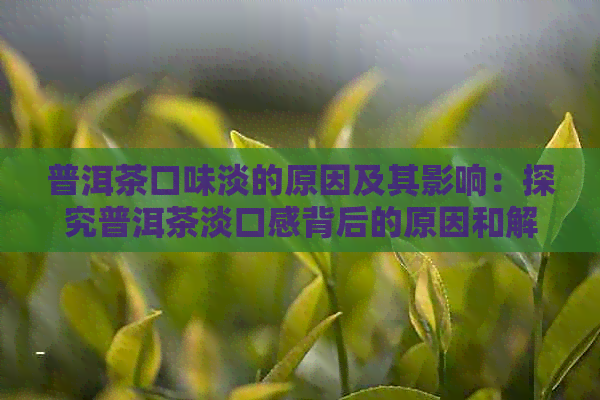 普洱茶口味淡的原因及其影响：探究普洱茶淡口感背后的原因和解决方法