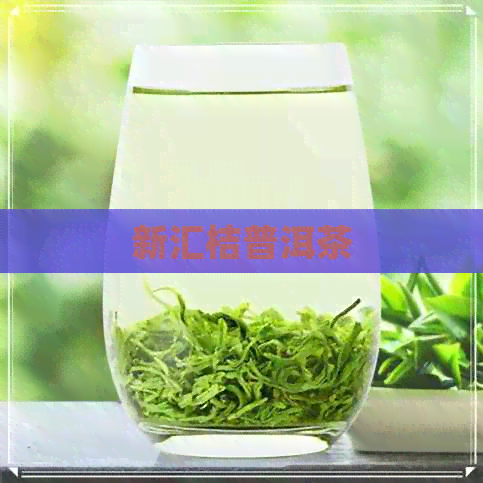 新汇桔普洱茶