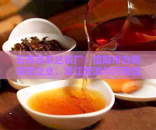 云南荣东达茶厂：信阳市白茶领军企业，双江普洱与河南信阳茶叶的完美融合