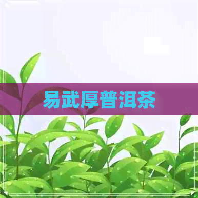 易武厚普洱茶