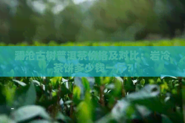 澜沧古树普洱茶价格及对比：岩冷茶饼多少钱一斤？