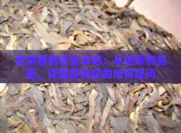 普洱茶品尝全攻略：从选茶到品鉴，详细解答您的所有疑问