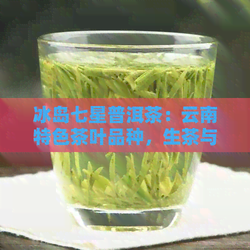 冰岛七星普洱茶：云南特色茶叶品种，生茶与熟茶精选价格表与图片一览