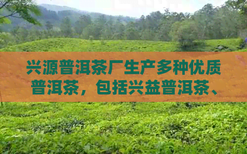 兴源普洱茶厂生产多种优质普洱茶，包括兴益普洱茶、勐海兴源茶厂的产品等。