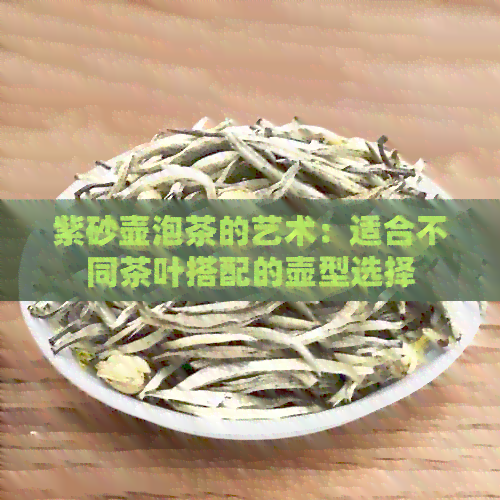 紫砂壶泡茶的艺术：适合不同茶叶搭配的壶型选择