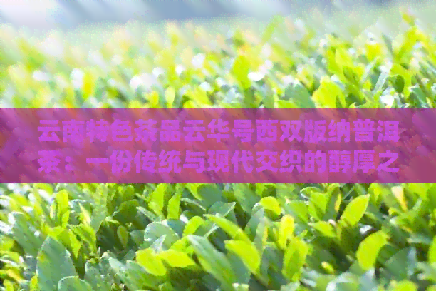 云南特色茶品云华号西双版纳普洱茶：一份传统与现代交织的醇厚之旅