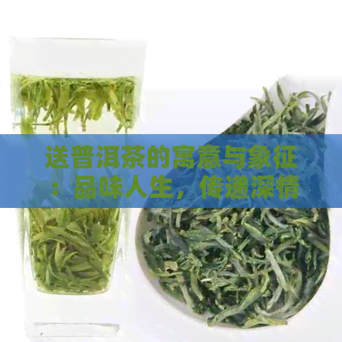 送普洱茶的寓意与象征：品味人生，传递深情