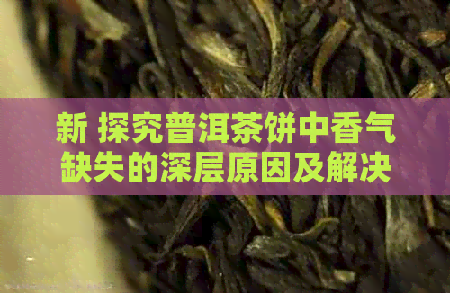 新 探究普洱茶饼中香气缺失的深层原因及解决策略