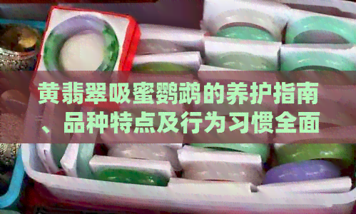 黄翡翠吸蜜鹦鹉的养护指南、品种特点及行为习惯全面解析