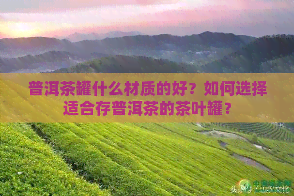 普洱茶罐什么材质的好？如何选择适合存普洱茶的茶叶罐？