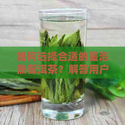 如何选择合适的壶泡熟普洱茶？解答用户关于选择泡茶器具的全面疑问