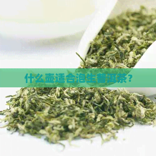 什么壶适合泡生普洱茶？