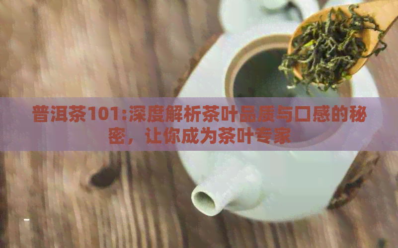 普洱茶101:深度解析茶叶品质与口感的秘密，让你成为茶叶专家