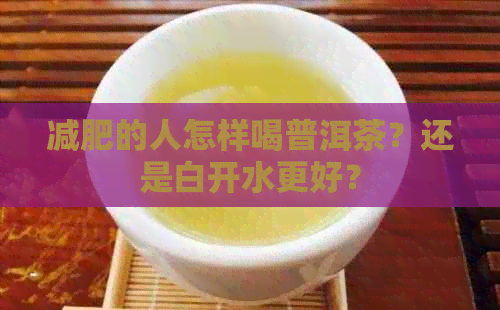 减肥的人怎样喝普洱茶？还是白开水更好？