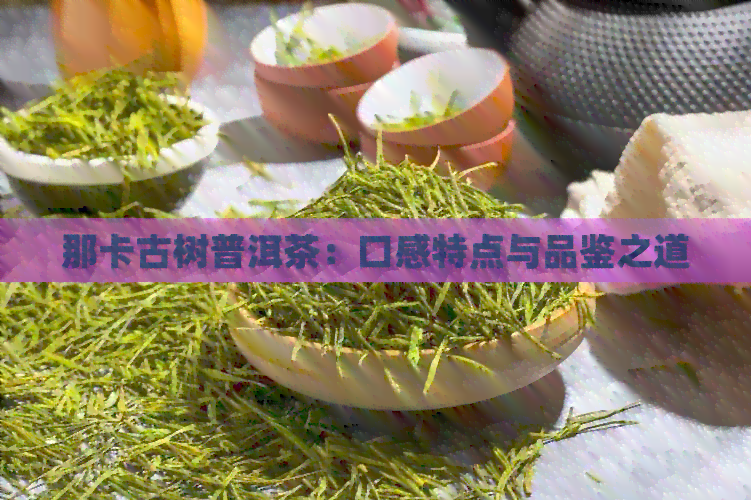 那卡古树普洱茶：口感特点与品鉴之道