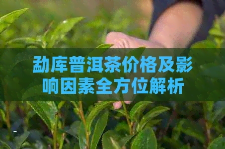 勐库普洱茶价格及影响因素全方位解析