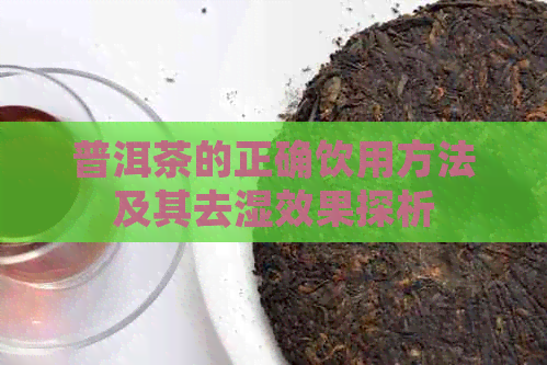 普洱茶的正确饮用方法及其去湿效果探析