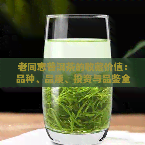 老同志普洱茶的收藏价值：品种、品质、投资与品鉴全方位解析