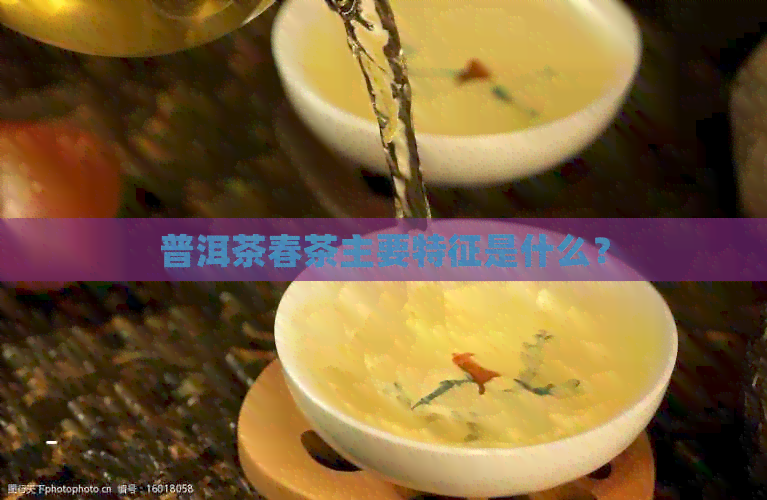 普洱茶春茶主要特征是什么？