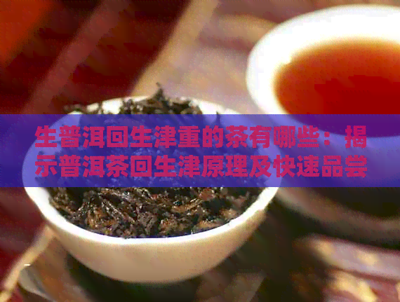 生普洱回生津重的茶有哪些：揭示普洱茶回生津原理及快速品尝方法