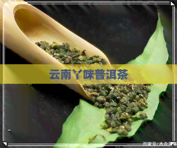 云南丫咪普洱茶