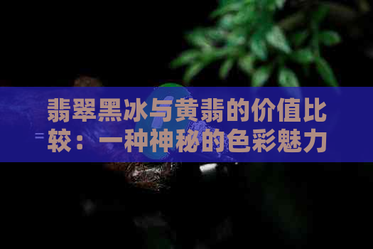 翡翠黑冰与黄翡的价值比较：一种神秘的色彩魅力