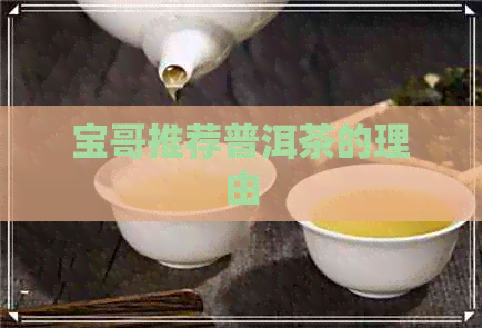 宝哥推荐普洱茶的理由