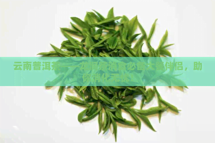 云南普洱茶——龙润茶消食必备大餐伴侣，助你消化无忧！