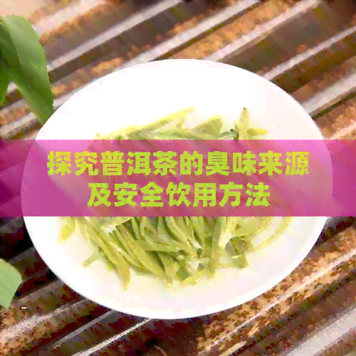 探究普洱茶的臭味来源及安全饮用方法