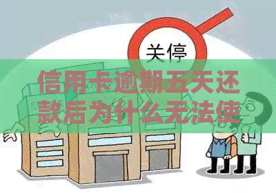 信用卡逾期五天还款后为什么无法使用？