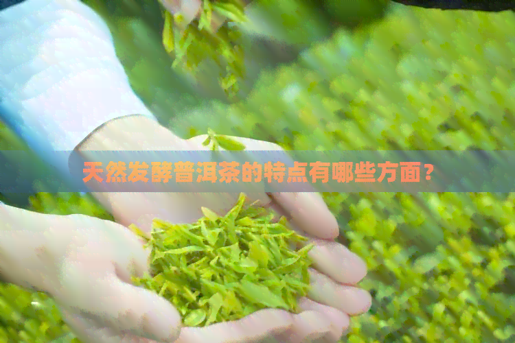 天然发酵普洱茶的特点有哪些方面？