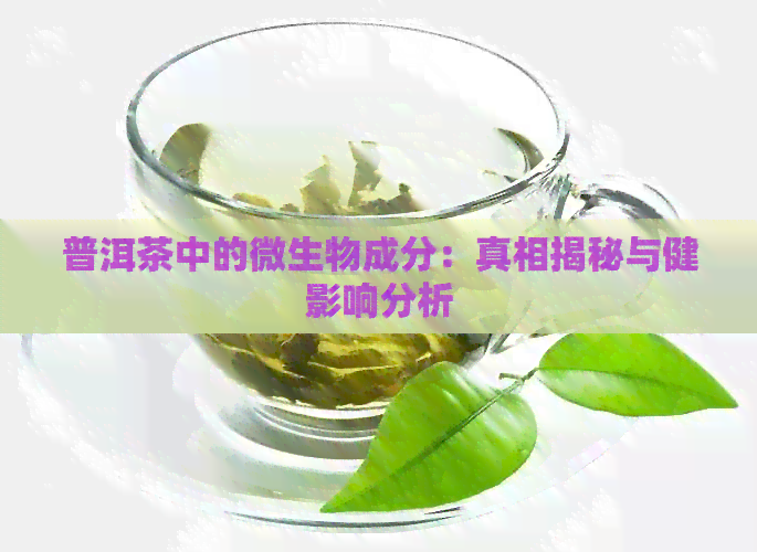 普洱茶中的微生物成分：真相揭秘与健影响分析