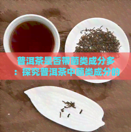 普洱茶是否带菌类成分多：探究普洱茶中菌类成分的含量