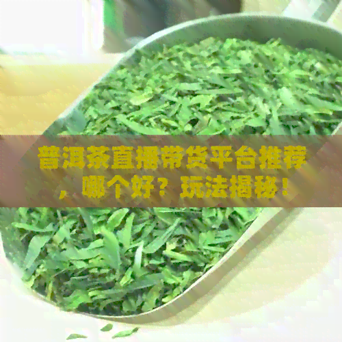 普洱茶直播带货平台推荐，哪个好？玩法揭秘！