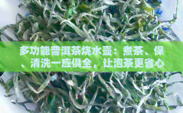 多功能普洱茶烧水壶：煮茶、保、清洗一应俱全，让泡茶更省心