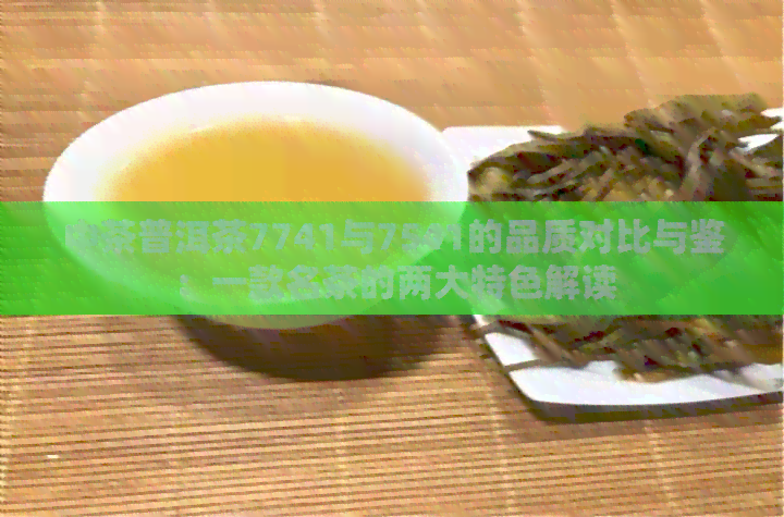 中茶普洱茶7741与7541的品质对比与鉴：一款名茶的两大特色解读