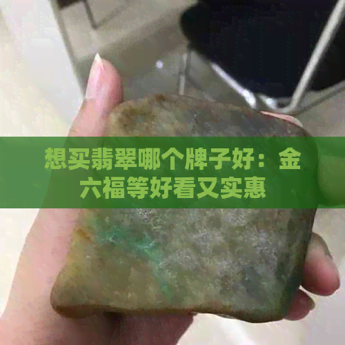 想买翡翠哪个牌子好：金六福等好看又实惠