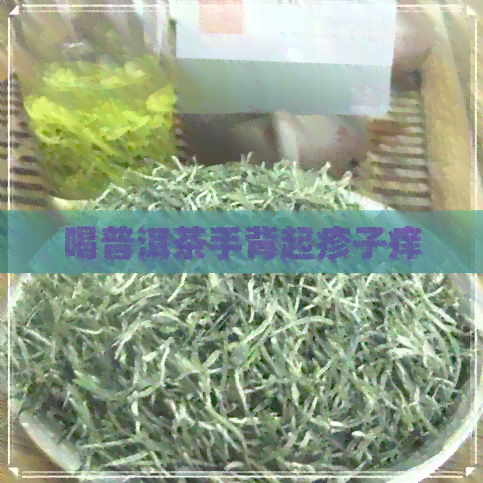 喝普洱茶手背起疹子痒