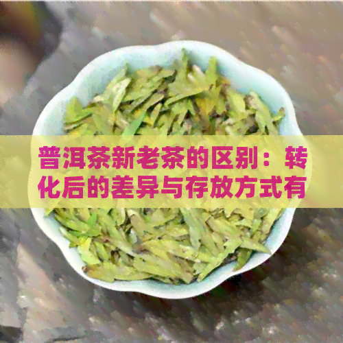 普洱茶新老茶的区别：转化后的差异与存放方式有关。