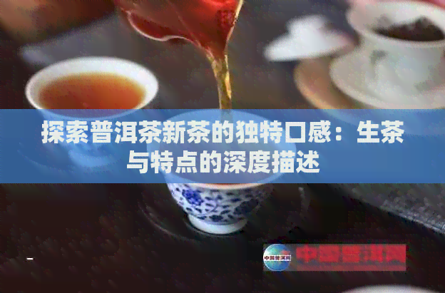 探索普洱茶新茶的独特口感：生茶与特点的深度描述