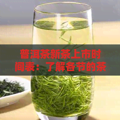 普洱茶新茶上市时间表：了解各节的茶叶上市情况，让你随时享用新好茶