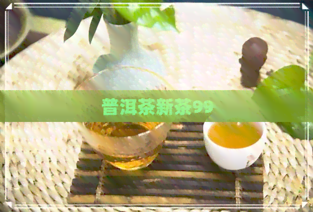 普洱茶新茶99